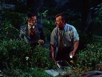 Click to watch 'The Frog' (popup) The Odd Couple